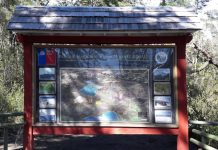 Parque Nacional Vicente Pérez Rosales